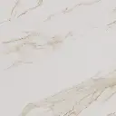 60x60cm Divina Calacatta Gold Hochglanz 9mm