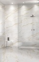 Diving ONYX Extra 60x120cm Hochglanz